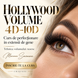 Curs de Prfectionare 'Hollywood volume 4D-10D"