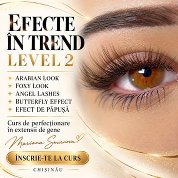 Curs de perfectionare "Efectele trend &ldquo;Level 2